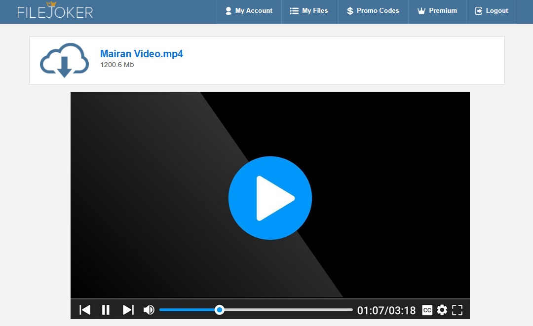 Filejoker Online Video Player 